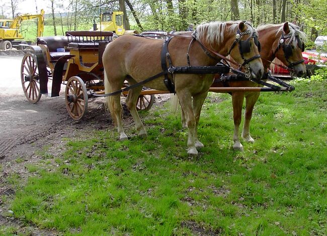 Holzkutsche, Theresa, Carriages, Beverungen, Image 2