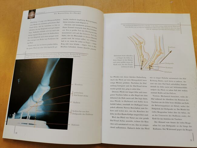 Hufbalance – Schlüssel zu Gesundheit und Leistung. Die Wirkung des korrekt gestellten Hufes, cadmos verlag  Gail Williams, Mandy, Books, Camburg, Image 5