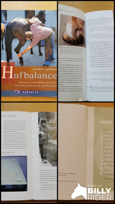Hufbalance – Schlüssel zu Gesundheit und Leistung. Die Wirkung des korrekt gestellten Hufes, cadmos verlag  Gail Williams, Mandy, Books, Camburg, Image 8