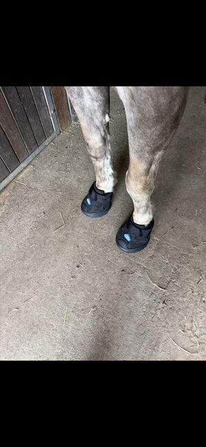 Hufschuhe Easyboot Cloud, Größe 5, Easyboot Cloud , D. Scholier, Hoof Boots & Therapy Boots, Hückelhoven