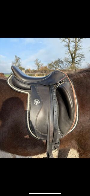 Hrimnir Elite, Hrimnir Elite, Steffi , Icelandic Saddle, Steyr, Image 2