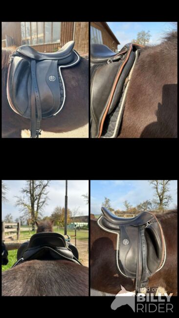 Hrimnir Elite, Hrimnir Elite, Steffi , Icelandic Saddle, Steyr, Image 5