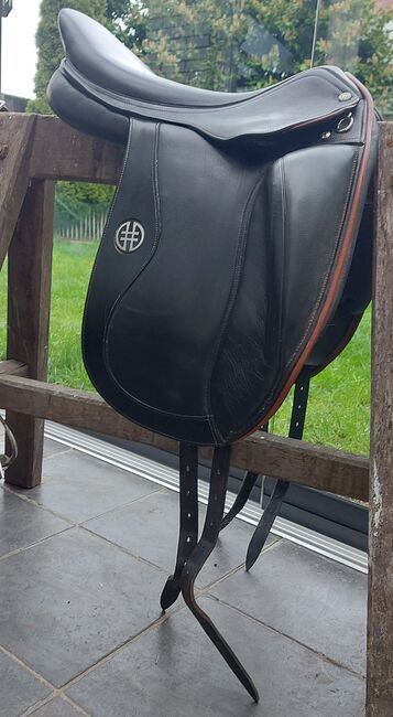 Hrimnir Elite, Hrimnir  Elite, VHE , Icelandic Saddle, GRONAU , Image 2