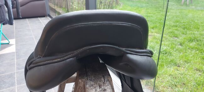 Hrimnir Elite, Hrimnir  Elite, VHE , Icelandic Saddle, GRONAU , Image 3