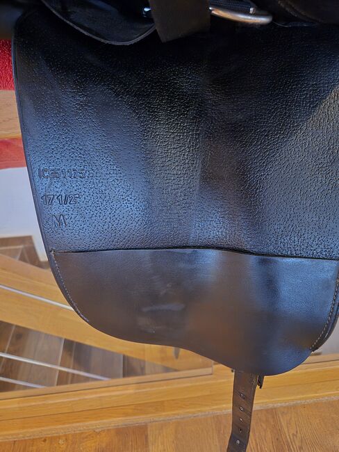 Hrimnir Master 17,5 ", Hrimnir  Master, Britta Schriever , Icelandic Saddle, Schalksmühle , Image 6