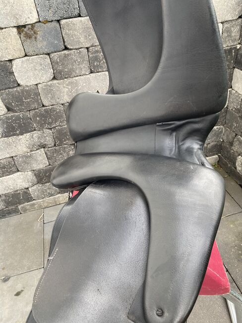 Hrimnir Pro, Hrimnir Pro, Claudia Liebscher, Icelandic Saddle, Rheinbach, Image 4