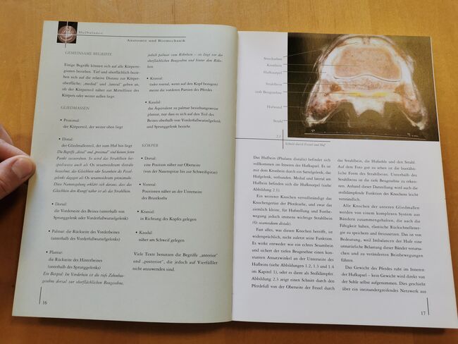 Hufbalance – Schlüssel zu Gesundheit und Leistung. Die Wirkung des korrekt gestellten Hufes, cadmos verlag  Gail Williams, Mandy, Bücher, Camburg, Abbildung 4