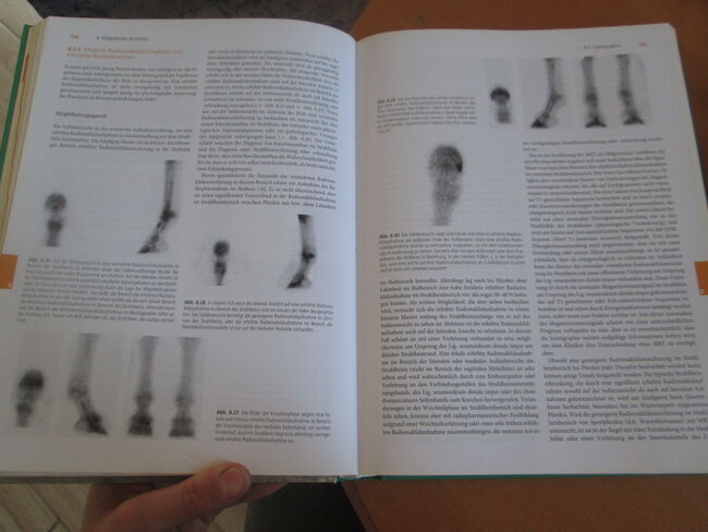Hufkrankheiten Diagnostik - Therapie - orthopädischer Beschlag, Urban & Fischer Elsevier, Mandy, Books, Camburg, Image 6