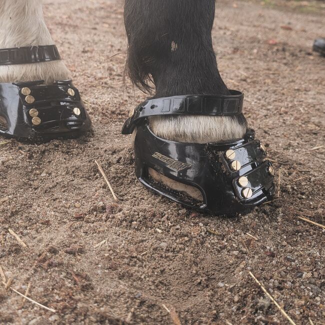 Hufschuhberatung und Barhufbearbeitung, Loderhof 10, Stefan Wolf, Therapie & Behandlung, Thurmansbang