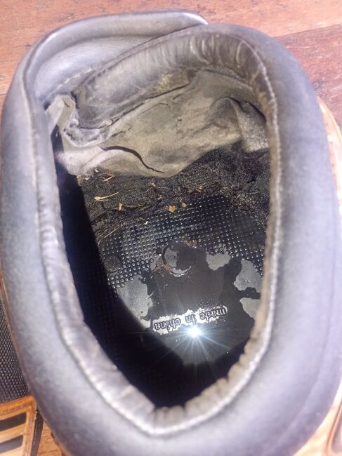 Hufschuhe Easyboot New Trail, Easyboot  New Trail , Manuela Brucherseifer , Hufschuhe & Krankenschuhe, Hemer, Abbildung 6