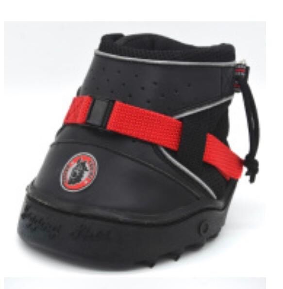 Hufschuhe für Pferd, Sandra, Hufbeschlag, Hünenberg See