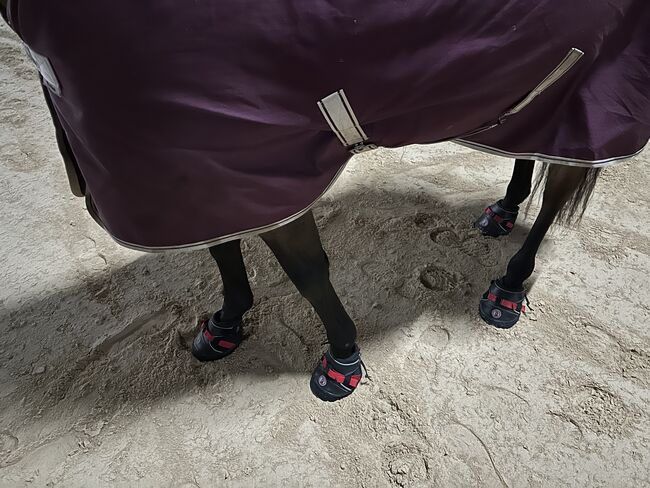 Hufschuhe Ultra Jogging, Equine Fusion Ultra Jogging, Andy, Hufschuhe & Krankenschuhe, Serrig