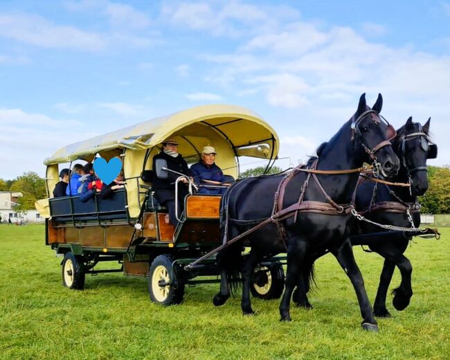 Planwagen für die Fahrt ins Grüne zu verkaufen, Nancy Riesch, Carriages, Werneuchen