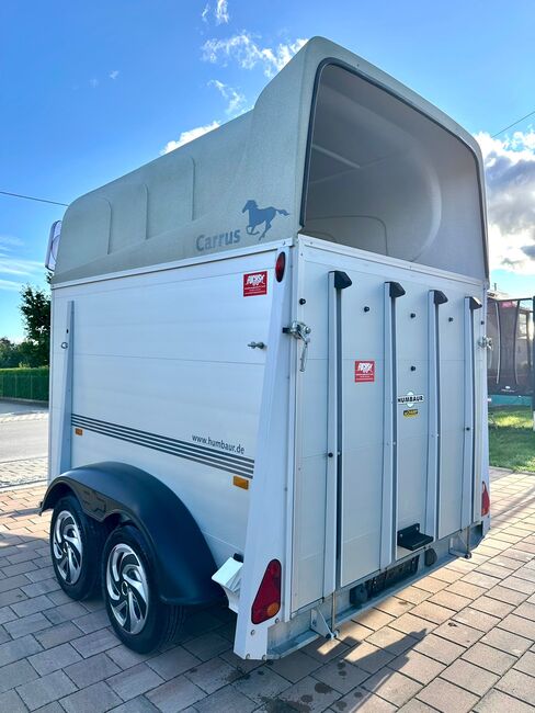 ❗️Humbaur Carrus Alu Saka Aluboden Pferdeanhänger Pferdehänger, Humbaur  Carrus, Fuchs Daniel, Ellgau - Pferdeanhänger seit 2016  (Nutzfahrzeughandel und Vermietung Daniel Fuchs ), Horse Trailers, Ellgau , Image 17