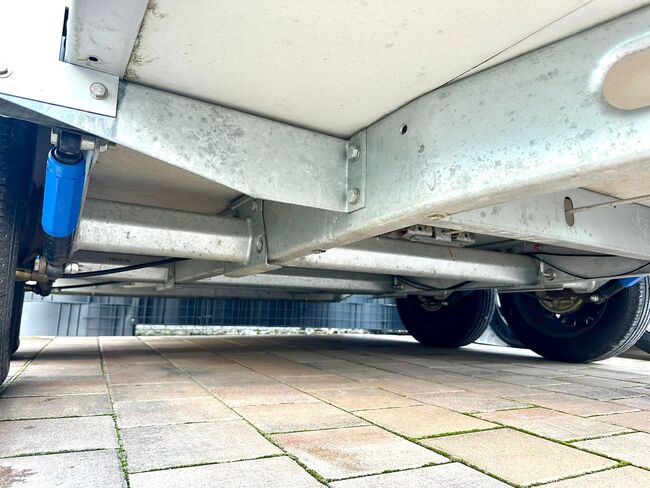 ❗️Humbaur Carrus Alu Saka Aluboden Pferdeanhänger Pferdehänger, Humbaur  Carrus, Fuchs Daniel, Ellgau - Pferdeanhänger seit 2016  (Nutzfahrzeughandel und Vermietung Daniel Fuchs ), Horse Trailers, Ellgau , Image 5