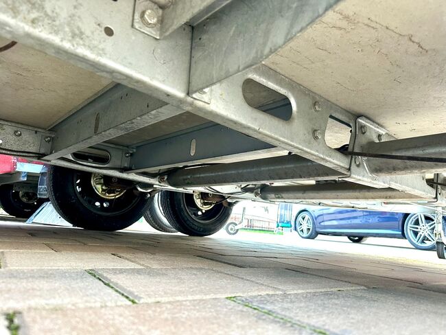 ❗️Humbaur Carrus Alu Saka Aluboden Pferdeanhänger Pferdehänger, Humbaur  Carrus, Fuchs Daniel, Ellgau - Pferdeanhänger seit 2016  (Nutzfahrzeughandel und Vermietung Daniel Fuchs ), Horse Trailers, Ellgau , Image 4