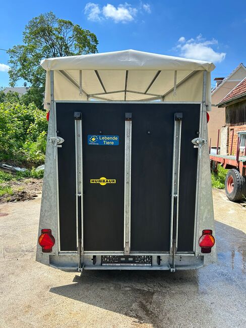 Humbaur Viehanhänger, Humbaur Viehanhänger, Sport- und Freizeitpferde Fuchs (Sport- und Freizeitpferde Fuchs), Horse Trailers, Ehingen, Image 9