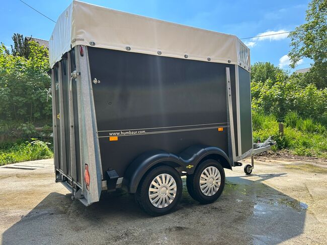 Humbaur Viehanhänger, Humbaur Viehanhänger, Sport- und Freizeitpferde Fuchs (Sport- und Freizeitpferde Fuchs), Horse Trailers, Ehingen, Image 15