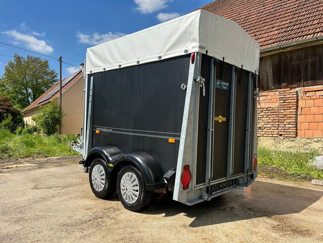 Humbaur Viehanhänger, Humbaur Viehanhänger, Sport- und Freizeitpferde Fuchs (Sport- und Freizeitpferde Fuchs), Horse Trailers, Ehingen, Image 12