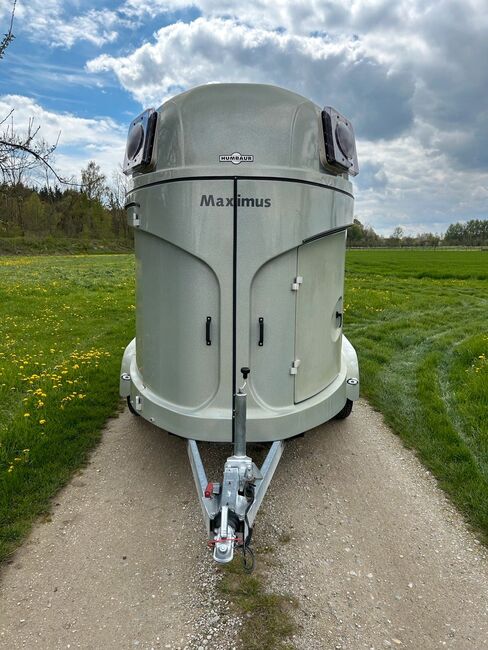 Humbaur Maximus 2 Pferdeanhänger MwSt Ausweisbar, Humbaur Maximus, Sport- und Freizeitpferde Fuchs, Horse Trailers, Ellgau, Image 13
