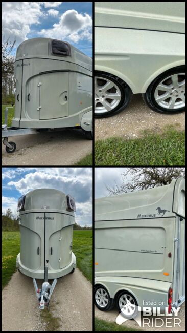 Humbaur Maximus 2 Pferdeanhänger MwSt Ausweisbar, Humbaur Maximus, Sport- und Freizeitpferde Fuchs, Horse Trailers, Ellgau, Image 15