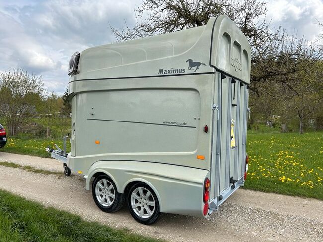Humbaur Maximus 2 Pferdeanhänger MwSt Ausweisbar, Humbaur Maximus, Sport- und Freizeitpferde Fuchs, Horse Trailers, Ellgau, Image 10