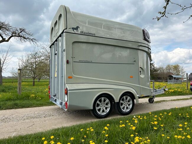 Humbaur Maximus 2 Pferdeanhänger MwSt Ausweisbar, Humbaur Maximus, Sport- und Freizeitpferde Fuchs, Horse Trailers, Ellgau, Image 7