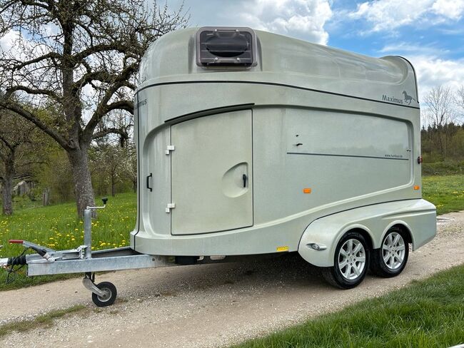 Humbaur Maximus 2 Pferdeanhänger MwSt Ausweisbar, Humbaur Maximus, Sport- und Freizeitpferde Fuchs, Horse Trailers, Ellgau, Image 5