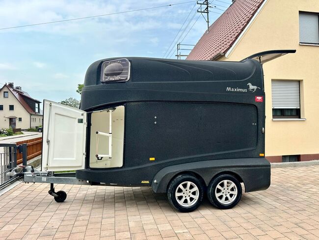 ❗️Humbaur Maximus Aluboden Saka Pferdeanhänger Pferdehänger, Humbaur  Maximus , Fuchs Daniel, Ellgau - Pferdeanhänger seit 2016  (Nutzfahrzeughandel und Vermietung Daniel Fuchs ), Horse Trailers, Ellgau , Image 2