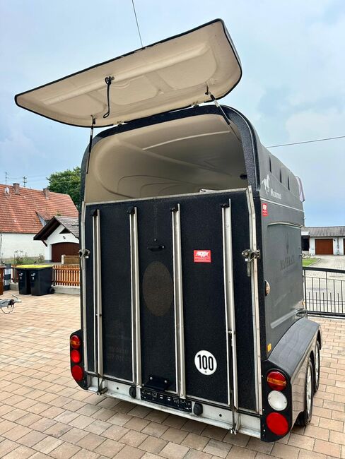 ❗️Humbaur Maximus Aluboden Saka Pferdeanhänger Pferdehänger, Humbaur  Maximus , Fuchs Daniel, Ellgau - Pferdeanhänger seit 2016  (Nutzfahrzeughandel und Vermietung Daniel Fuchs ), Horse Trailers, Ellgau , Image 5