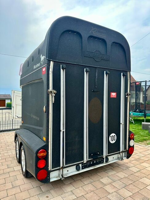 ❗️Humbaur Maximus Aluboden Saka Pferdeanhänger Pferdehänger, Humbaur  Maximus , Fuchs Daniel, Ellgau - Pferdeanhänger seit 2016  (Nutzfahrzeughandel und Vermietung Daniel Fuchs ), Horse Trailers, Ellgau , Image 6