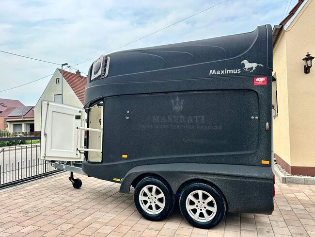 ❗️Humbaur Maximus Aluboden Saka Pferdeanhänger Pferdehänger, Humbaur  Maximus , Fuchs Daniel, Ellgau - Pferdeanhänger seit 2016  (Nutzfahrzeughandel und Vermietung Daniel Fuchs ), Horse Trailers, Ellgau , Image 3
