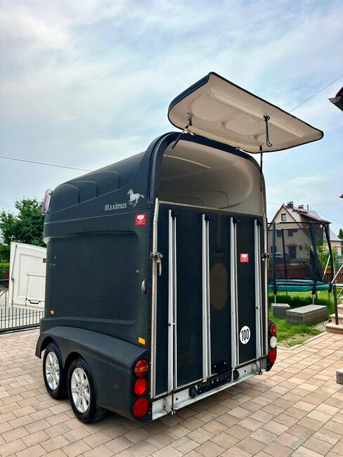 ❗️Humbaur Maximus Aluboden Saka Pferdeanhänger Pferdehänger, Humbaur  Maximus , Fuchs Daniel, Ellgau - Pferdeanhänger seit 2016  (Nutzfahrzeughandel und Vermietung Daniel Fuchs ), Horse Trailers, Ellgau , Image 4