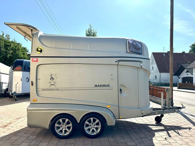 ❗️Humbaur Maximus Aluboden Saka Pferdeanhänger Pferdehänger, Humbaur  Maximus , Fuchs Daniel, Ellgau - Pferdeanhänger seit 2016  (Nutzfahrzeughandel und Vermietung Daniel Fuchs ), Horse Trailers, Ellgau , Image 5