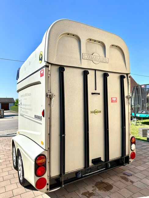 ❗️Humbaur Maximus Aluboden Saka Pferdeanhänger Pferdehänger, Humbaur  Maximus , Fuchs Daniel, Ellgau - Pferdeanhänger seit 2016  (Nutzfahrzeughandel und Vermietung Daniel Fuchs ), Horse Trailers, Ellgau , Image 8