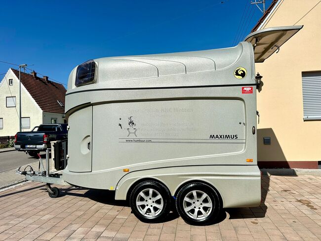 ❗️Humbaur Maximus Aluboden Saka Pferdeanhänger Pferdehänger, Humbaur  Maximus , Fuchs Daniel, Ellgau - Pferdeanhänger seit 2016  (Nutzfahrzeughandel und Vermietung Daniel Fuchs ), Horse Trailers, Ellgau , Image 9
