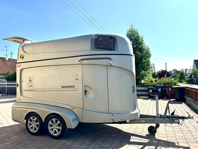 ❗️Humbaur Maximus Aluboden Saka Pferdeanhänger Pferdehänger, Humbaur  Maximus , Fuchs Daniel, Ellgau - Pferdeanhänger seit 2016  (Nutzfahrzeughandel und Vermietung Daniel Fuchs ), Horse Trailers, Ellgau , Image 13
