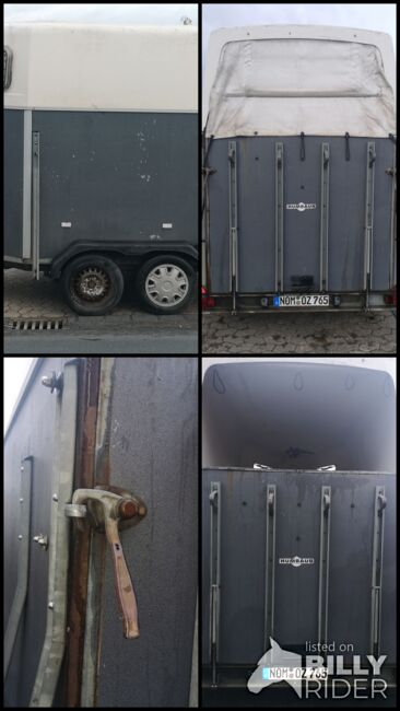 Pferdeanhänger Humbaur, Humbaur, Claudia Kohlhase-Ullmann , Horse Trailers, Wollbrandshausen, Image 7