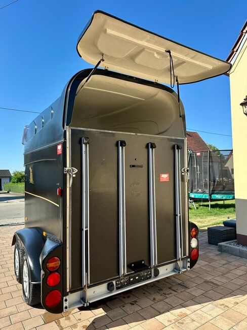 ❗️Humbaur Pegasus Saka Pferdeanhänger Pferdehänger, Humbaur  Pegasus , Fuchs Daniel, Ellgau - Pferdeanhänger seit 2016  (Nutzfahrzeughandel und Vermietung Daniel Fuchs ), Horse Trailers, Ellgau , Image 8