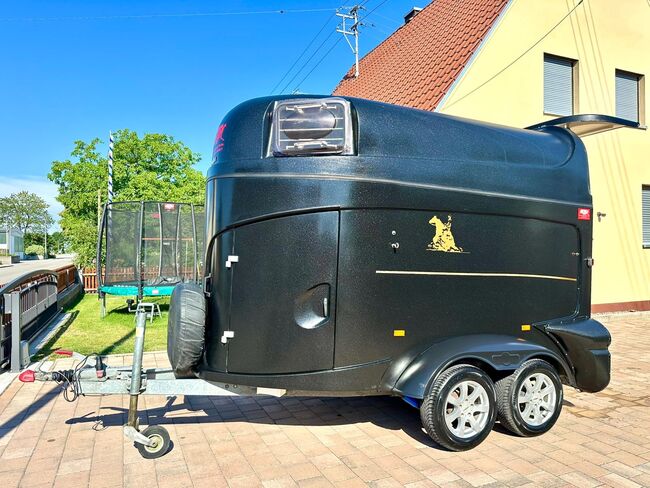 ❗️Humbaur Pegasus Saka Pferdeanhänger Pferdehänger, Humbaur  Pegasus , Fuchs Daniel, Ellgau - Pferdeanhänger seit 2016  (Nutzfahrzeughandel und Vermietung Daniel Fuchs ), Horse Trailers, Ellgau 