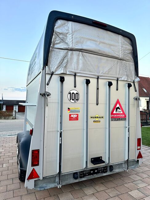 ❗️Humbaur Rapid Alu Aluboden Pferdeanhänger Pferdehänger, Humbaur  Carrus , Fuchs Daniel, Ellgau - Pferdeanhänger seit 2016  (Nutzfahrzeughandel und Vermietung Daniel Fuchs ), Horse Trailers, Ellgau , Image 6