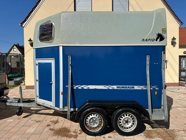 ❗️Humbaur Rapid Saka Holz Poly Pferdeanhänger Pferdehänger, Humbaur  Rapid, Fuchs Daniel, Ellgau - Pferdeanhänger seit 2016  (Nutzfahrzeughandel und Vermietung Daniel Fuchs ), Horse Trailers, Ellgau , Image 9