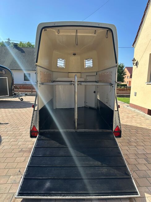 ❗️Humbaur Rapid Saka Holz Poly Pferdeanhänger Pferdehänger, Humbaur  Rapid, Fuchs Daniel, Ellgau - Pferdeanhänger seit 2016  (Nutzfahrzeughandel und Vermietung Daniel Fuchs ), Horse Trailers, Ellgau , Image 5