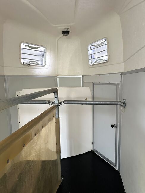❗️Humbaur Rapid Saka Holz Poly Pferdeanhänger Pferdehänger, Humbaur  Rapid , Fuchs Daniel, Ellgau - Pferdeanhänger seit 2016  (Nutzfahrzeughandel und Vermietung Daniel Fuchs ), Horse Trailers, Ellgau , Image 14