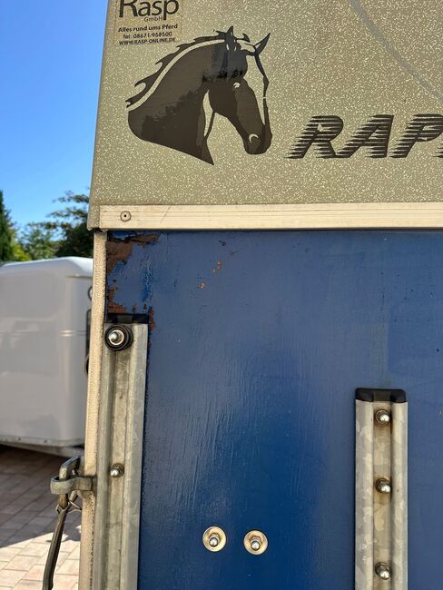 ❗️Humbaur Rapid Saka Holz Poly Pferdeanhänger Pferdehänger, Humbaur  Rapid, Fuchs Daniel, Ellgau - Pferdeanhänger seit 2016  (Nutzfahrzeughandel und Vermietung Daniel Fuchs ), Pferdeanhänger, Ellgau , Abbildung 16