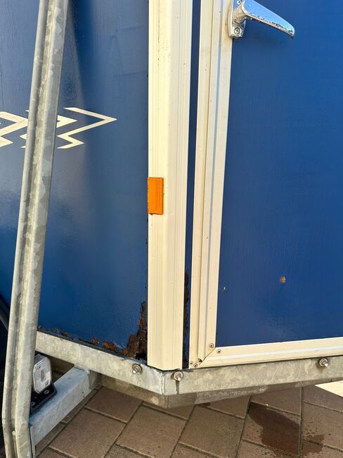 ❗️Humbaur Rapid Saka Holz Poly Pferdeanhänger Pferdehänger, Humbaur  Rapid, Fuchs Daniel, Ellgau - Pferdeanhänger seit 2016  (Nutzfahrzeughandel und Vermietung Daniel Fuchs ), Pferdeanhänger, Ellgau , Abbildung 17