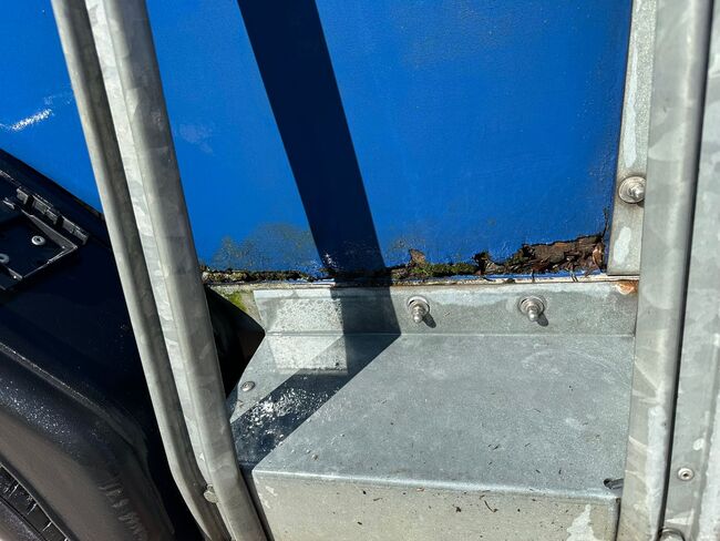 ❗️Humbaur Rapid Saka Holz Poly Pferdeanhänger Pferdehänger, Humbaur  Rapid, Fuchs Daniel, Ellgau - Pferdeanhänger seit 2016  (Nutzfahrzeughandel und Vermietung Daniel Fuchs ), Horse Trailers, Ellgau , Image 10