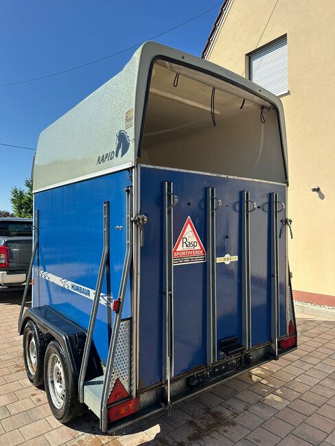 ❗️Humbaur Rapid Saka Holz Poly Pferdeanhänger Pferdehänger, Humbaur  Rapid, Fuchs Daniel, Ellgau - Pferdeanhänger seit 2016  (Nutzfahrzeughandel und Vermietung Daniel Fuchs ), Horse Trailers, Ellgau , Image 3