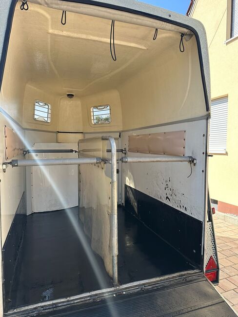 ❗️Humbaur Rapid Saka Holz Poly Pferdeanhänger Pferdehänger, Humbaur  Rapid, Fuchs Daniel, Ellgau - Pferdeanhänger seit 2016  (Nutzfahrzeughandel und Vermietung Daniel Fuchs ), Horse Trailers, Ellgau , Image 7