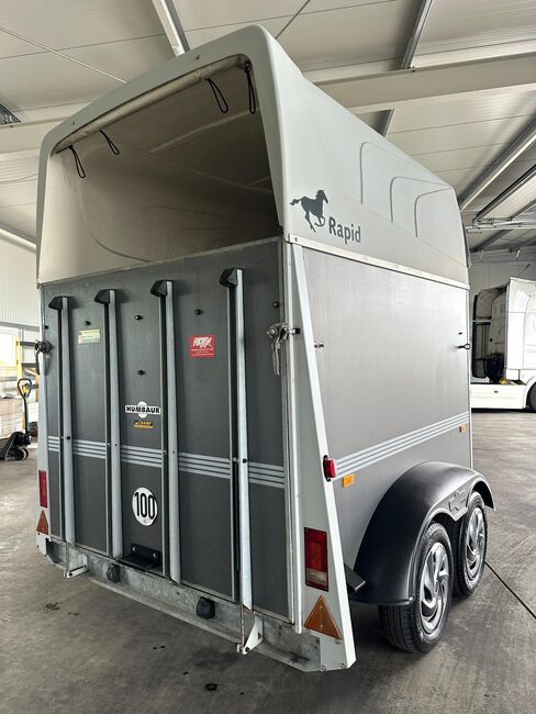 ❗️Humbaur Rapid Saka Holz Poly Pferdeanhänger Pferdehänger, Humbaur  Rapid , Fuchs Daniel, Ellgau - Pferdeanhänger seit 2016  (Nutzfahrzeughandel und Vermietung Daniel Fuchs ), Horse Trailers, Ellgau , Image 4
